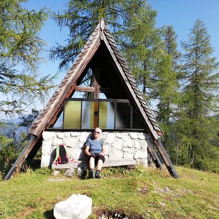 Ferienwohnung Schmaranzer Gosau Luaran gambar