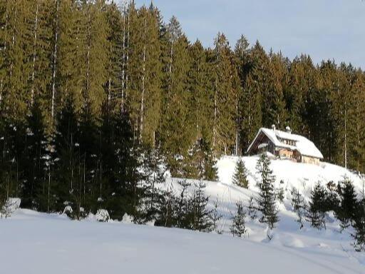 Ferienwohnung Schmaranzer Gosau Luaran gambar