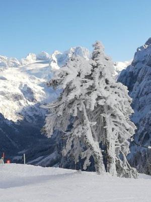 Ferienwohnung Schmaranzer Gosau Luaran gambar