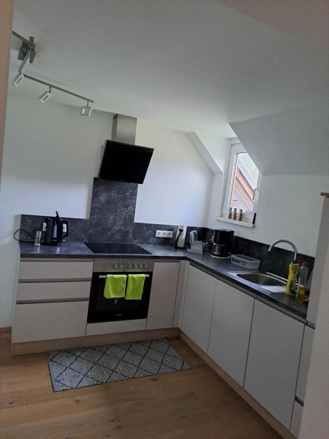 Ferienwohnung Schmaranzer Gosau Luaran gambar